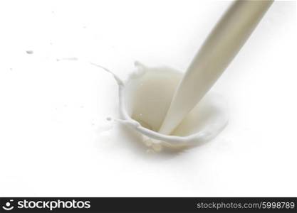 Pouring milk splash isolated on white background macro