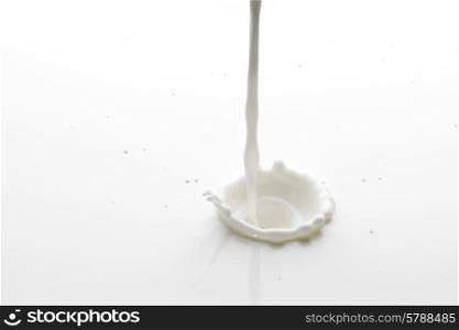 Pouring milk splash isolated on white background macro. Pouring milk splash