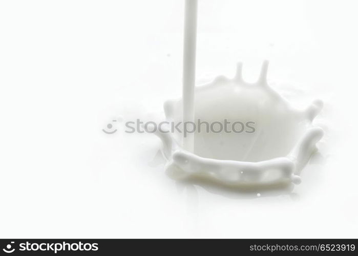 Pouring milk splash isolated on white background macro. Pouring milk splash