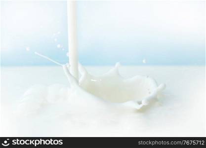 Pouring milk splash on blue background close-up. Pouring milk splash