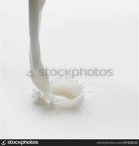 Pouring milk splash on white background macro. Pouring milk splash