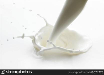 Pouring milk splash. Pouring milk splash isolated on white background macro