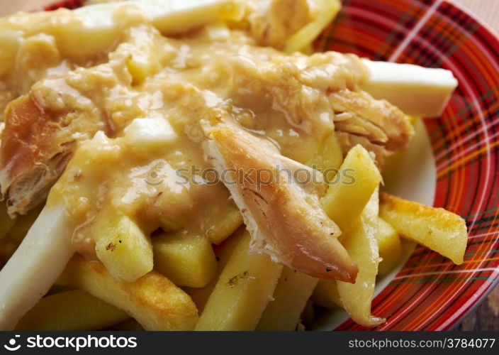 Poutine - common Canadian dish, originally from Quebec, made with french fries, topped with a light brown gravy-like sauce and cheese curds