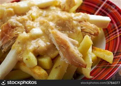 Poutine - common Canadian dish, originally from Quebec, made with french fries, topped with a light brown gravy-like sauce and cheese curds