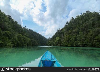 POV on the kayak on the Green river through the dense jungle inthe frorest of Raja Ampat, West Papua province, Indonesia
