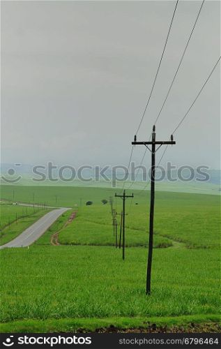 Power lines in a field next to a road