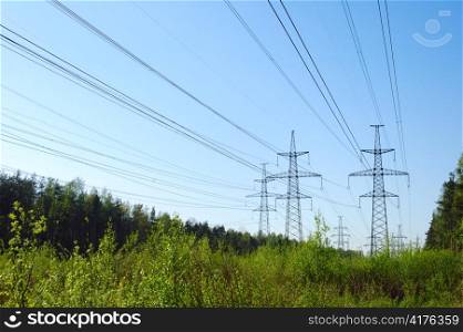 power lines in forest