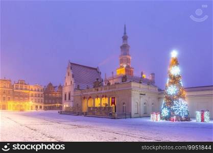 Poznan Town Hall and Christmas tree on Old Market Square in Old Town in the snowy night, Poznan, Poland. Night Old Town of Poznan, Poland