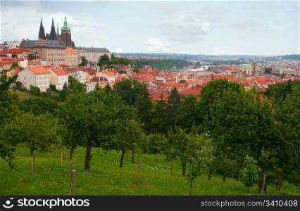 Prague Castle With St. Vitus Cathedral, Czech Republic