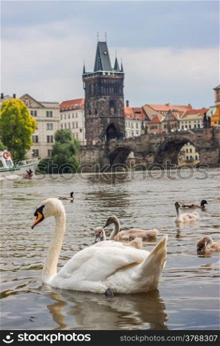 Prague city, one of the most beautiful city in Europe. Charles Bridge