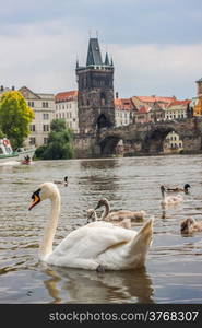 Prague city, one of the most beautiful city in Europe. Charles Bridge