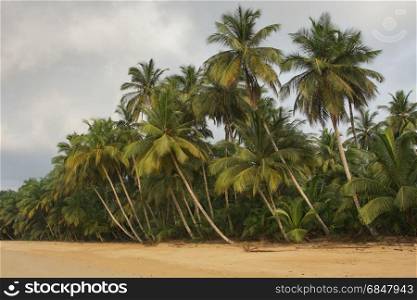 Praia Coco on an overcast day, Principe Island, Sao Tome and Principe, Africa