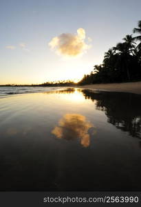 Praia do Forte in Salavador de Bahia state, Brazil