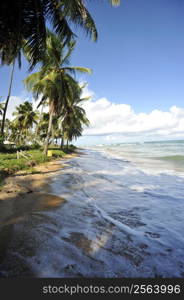 Praia do Forte in Salavador de Bahia state, Brazil