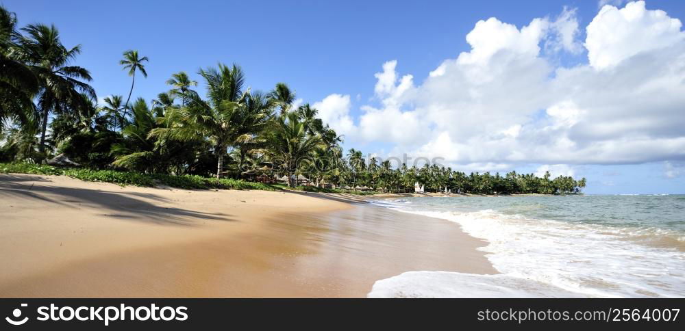 Praia do Forte in Salavador de Bahia state, Brazil