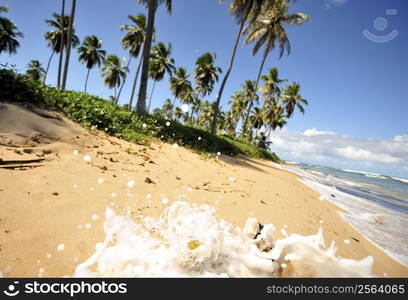 Praia do Forte in Salavador de Bahia state, Brazil