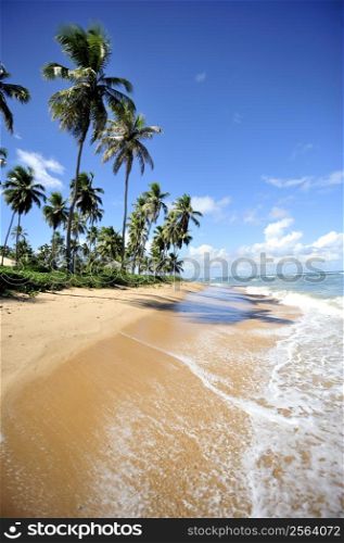 Praia do Forte in Salavador de Bahia state, Brazil