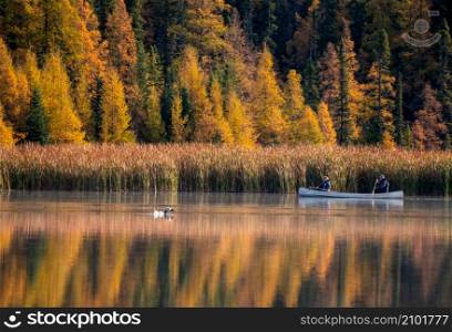 Prairie colors in fall yellow orange trees canoe calm