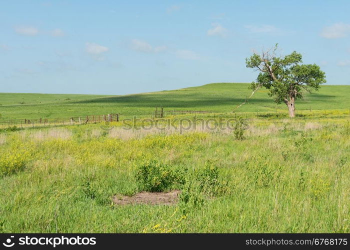 Prairie farm on a sunny day, Strong City, Kansas