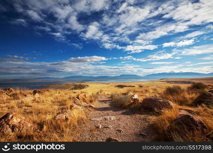 Prairie landscapes