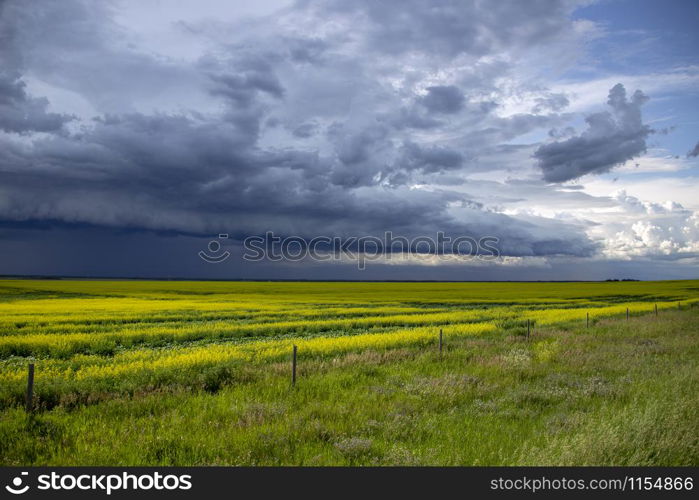 Prairie Storm Clouds Canada Saskatchewan Dramatic Summer