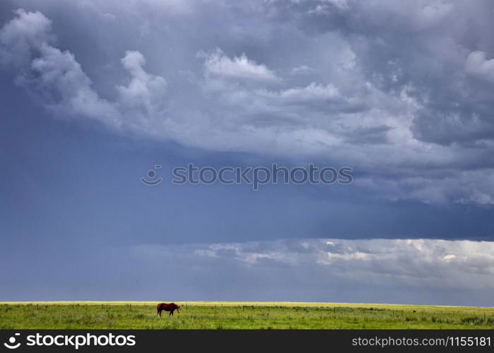 Prairie Storm Clouds Canada Saskatchewan Dramatic Summer