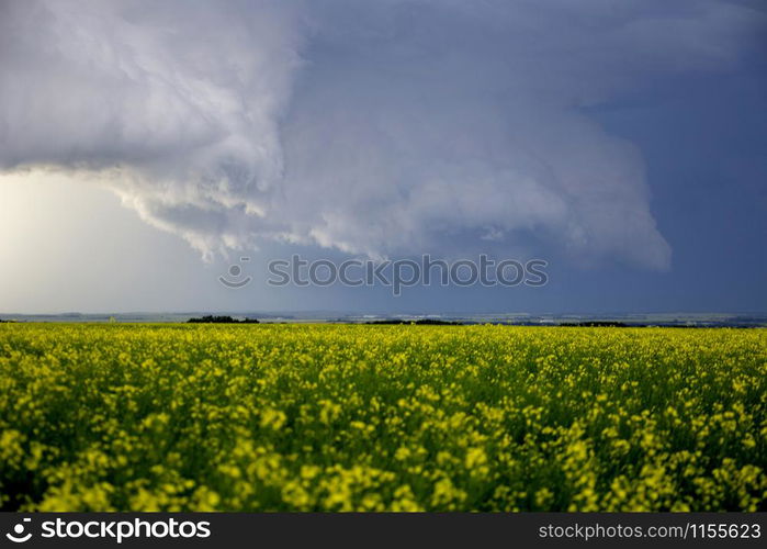 Prairie Storm Clouds Canada Saskatchewan Dramatic Summer