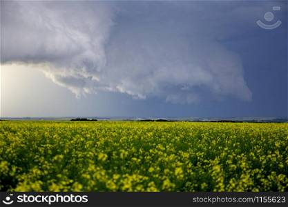 Prairie Storm Clouds Canada Saskatchewan Dramatic Summer