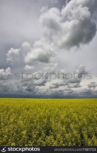 Prairie Storm Clouds Canada Saskatchewan Dramatic Summer