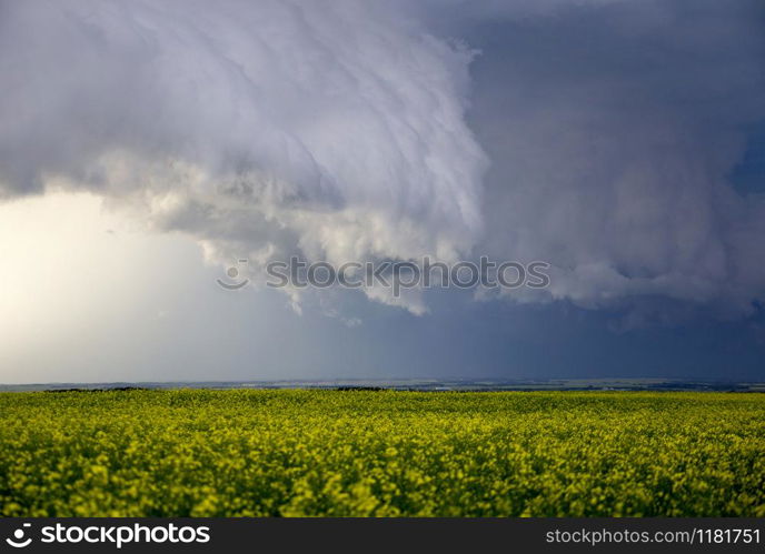 Prairie Storm Clouds Canada Saskatchewan Dramatic Summer