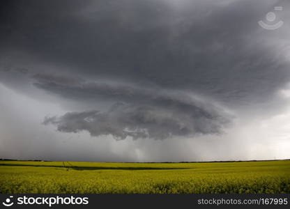 Prairie Storm Clouds in Saskatchewan Canada rural setting