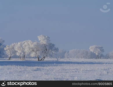 Prairie Winter Scenes rural Saskatchewan Canada Frost Prairie Winter Scenes rural Saskatchewan Canada Frost