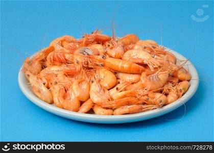 prawn Shrimp