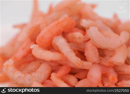 prawns close-up on a light background. food ingredients closeup