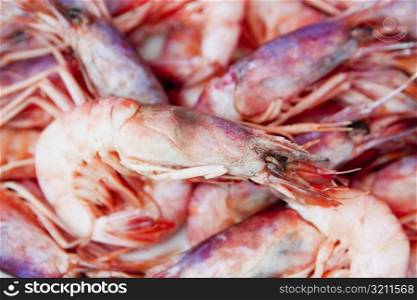 Prawns for sale at a market stall, Sorrento, Sorrentine Peninsula, Naples Province, Campania, Italy