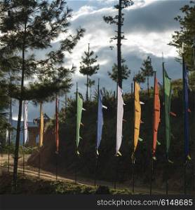 Prayer flags at roadside, Paro, Paro District, Paro Valley, Bhutan