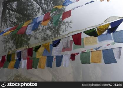 Prayer flags at Taktsang Monastery, Paro Valley, Paro District, Bhutan
