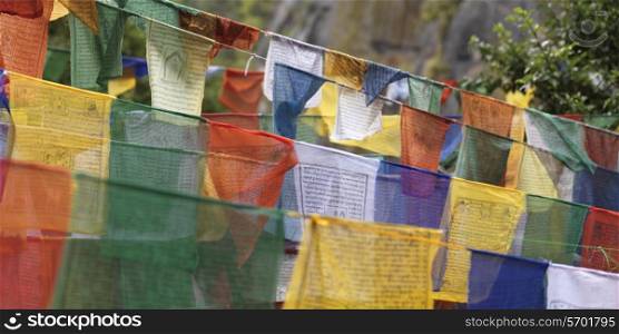 Prayer flags at Taktsang Monastery, Paro Valley, Paro District, Bhutan