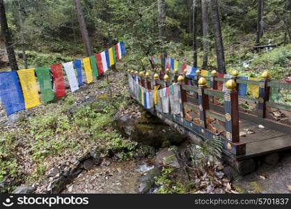 Prayer flags with a footbridge at Taktsang Monastery, Paro Valley, Paro District, Bhutan