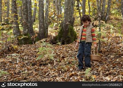 Precious child picking mushrooms in a forest in autumn