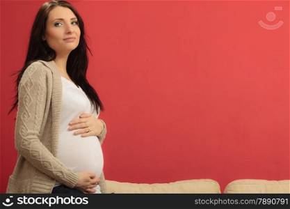 Pregnancy, motherhood and happiness concept. Beautiful pregnant woman touching her belly at home