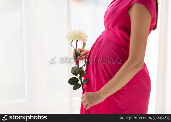pregnancy, motherhood, people, holidays and expectation concept - close up of pregnant woman with white rose flower at home