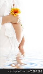 pregnant woman holding her belly and yellow flower in water