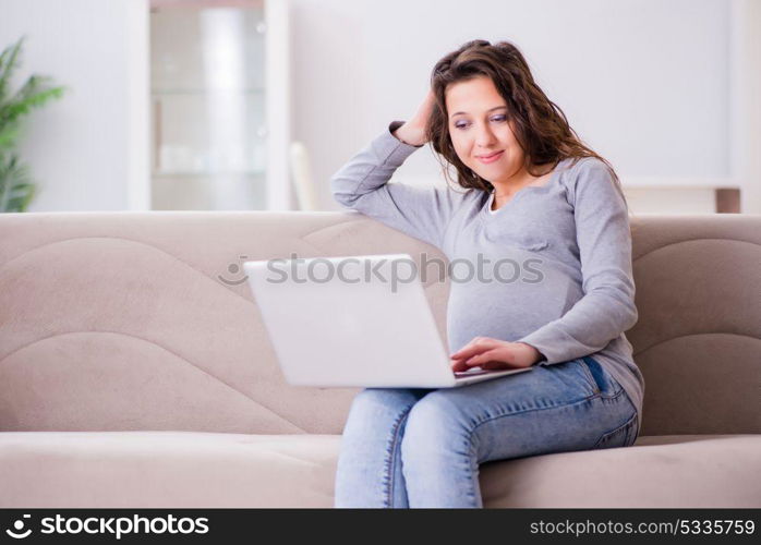 Pregnant woman working on laptop sitting on sofa