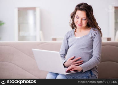 Pregnant woman working on laptop sitting on sofa