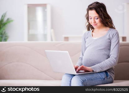 Pregnant woman working on laptop sitting on sofa