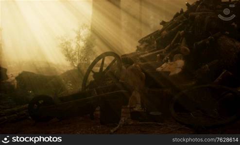 Preparation of firewood for the winter in forest at sunset