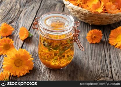 Preparation of herbal tincture from calendula flowers in a jar