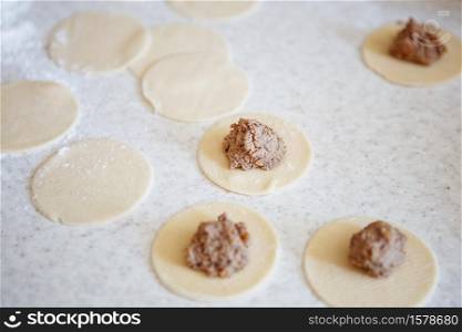 Preparation of meat dumplings, ravioli, dumplings with liver