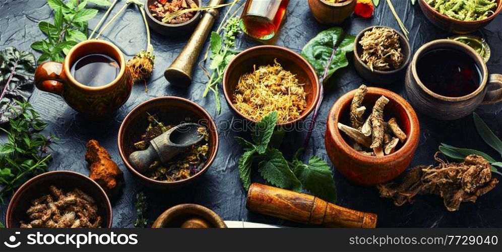 Preparation of medicines from medicinal herbs and plants.Medicinal herbs,healing plants. Various kinds of medicinal plants